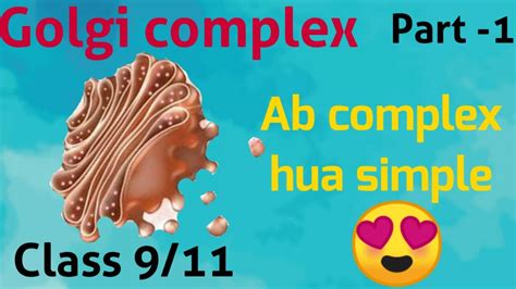 But, all functions are associated with moving once tagged, the vesicle is excreted from the golgi apparatus, on its way to its final destination. Golgi Apparatus /structure and function of golgi bodies ...