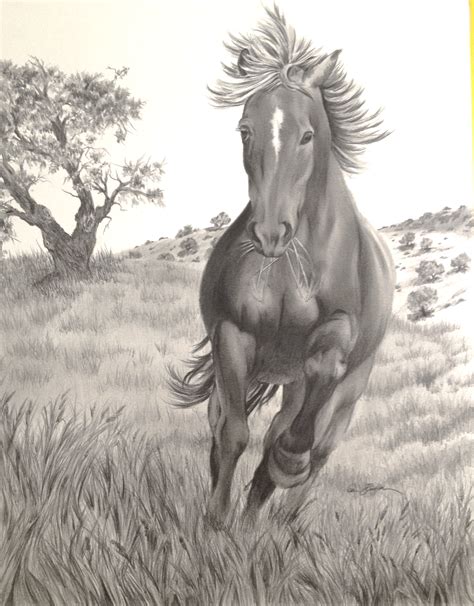 Collection by mandy ruffles • last updated 7 days ago. graphite drawings galleries | Here are a few photos of my ...