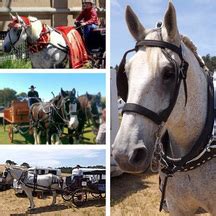 Horseback riding at border field. Pony Land San Diego Beach Horseback Riding - Home