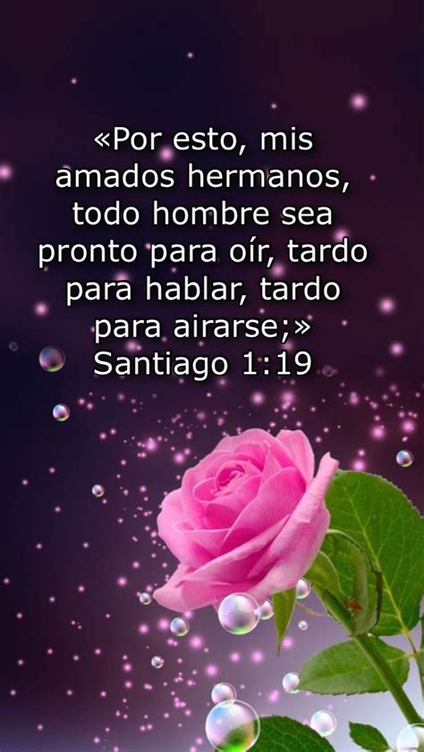 Don't forget to confirm subscription in your email. Pin by Blanca on Biblia/Palabra de Dios para ti | God ...