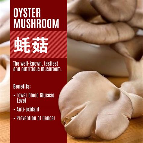 Bee forty one agrotech sdn bhd. GanoFarm : Prominent Leader In The Mushroom