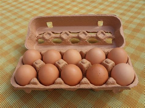 Are you looking for the best egg carton drawing for your personal blogs, projects or designs, then clipartmag is the place just for you. Egg carton - Wikipedia