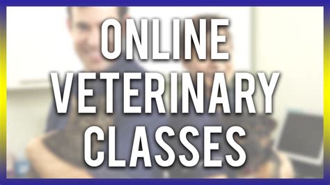 Carecredit knows pets are family too. Online Veterinary Classes (Free Vet CE Below) - YouTube