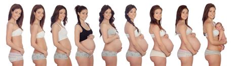 Jika beda perut buncit dan hamil yang anda rasakan terjadi bersamaan dengan telat datang bulan, kemungkinannya anda sedang hamil. Perubahan Perut Ibu Hamil Dari Minggu Ke Minggu - Info ...