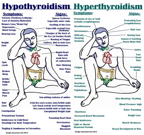 Treatment for follicular thyroid cancer is similar to papillary thyroid cancer and is successful for most patients. All the Signs, Symptoms, Triggers and Treatments of Hypo ...