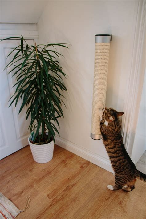 Pet kitten corner sisal wall scratcher cats hanging cat scratching post board. AD | Stylish Wall Mounted Catipilla Cat Scratcher Review ...
