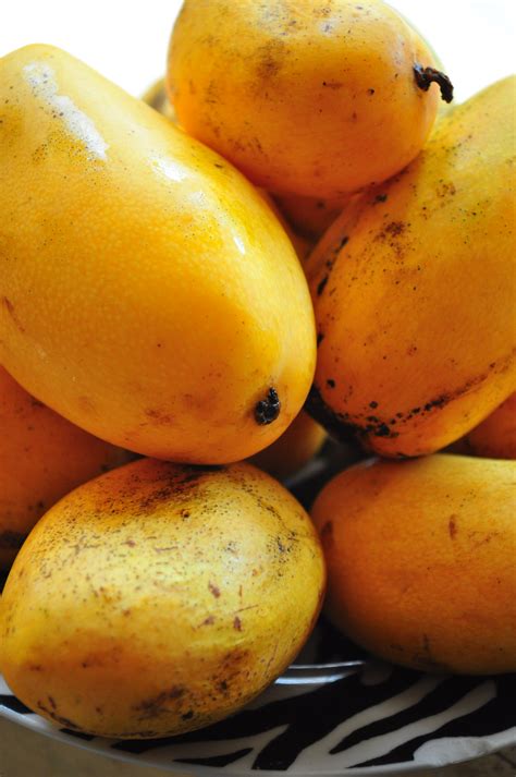 Mangoes are found in two varieties, one from india and the other from the philippines and. File:Philippine Mangoes.jpg - Wikimedia Commons