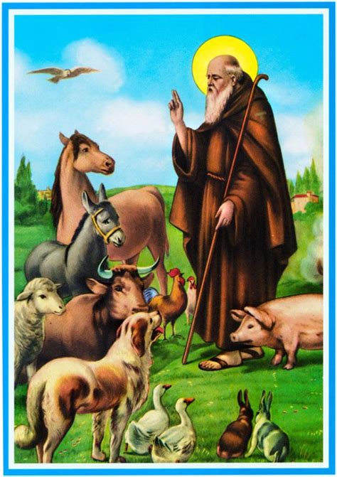 Nel nome del padre e del figlio e dello spirito santo. Celebrazione di Sant'Antonio Abate, le iniziative del ...