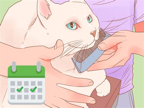 Just like with our own teeth, plaque and tartar are constantly forming in your cat's mouth, so brushing every day helps prevent health issues down the line. 3 Ways to Brush a Cat - wikiHow