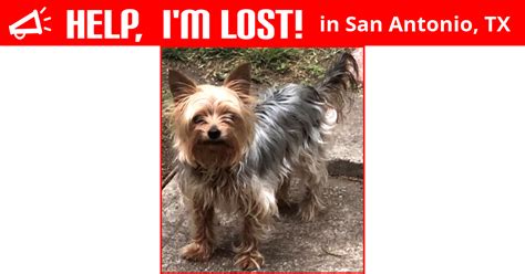 We have a passion for caring for our clients and their beloved pets. Lost Dog (San Antonio, Texas) - Michelle