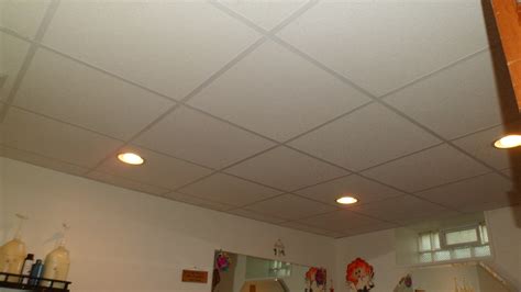 Any of the recessed lights will work. Guide on how to install Recessed lights drop ceiling ...