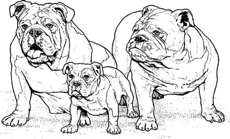 First, give each child a white, black, and brown sheet of construction paper and glue. Boxer Dog Family Coloring Pages : Best Place to Color