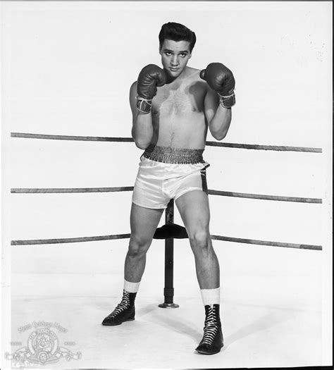 Doctors used a rod, screws and pins to stabilize the injuries, according to tiger's medical team. Boxer Kid Galahad & the Elvis Presley Connection ...