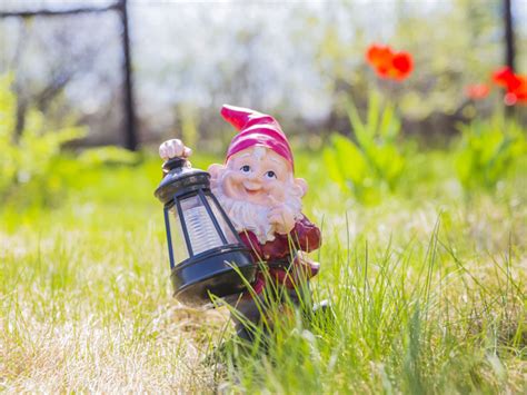 Nackedei wichst im garten 10. Nackt Im Garten