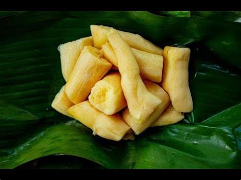 Tapai singkong merupakan hasil fermentasi singkong kukus yang bisa dinikmati secara langsung. Cara pembuatan tape singkong - YouTube