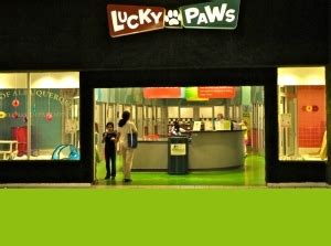 Adopting a pet has many benefits, some of which you may have not considered. Lucky Paws Adoption Center — City of Albuquerque