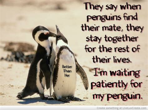 I would love to voice an animated penguin or platypus at some point. Cute Penguin Love Quotes. QuotesGram