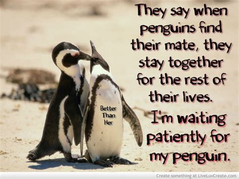 Below you will find our collection of inspirational, wise, and humorous old penguin quotes, penguin sayings, and penguin proverbs, collected over the years from a variety of sources. Cute Penguin Love Quotes. QuotesGram