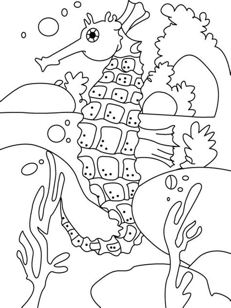 An additional similarity is given by the fact that the skate floats vertically, unlike most fish. Seahorse coloring pages. Download and print Seahorse coloring pages.