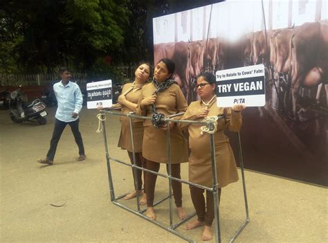 What to buy a pregnant woman for mother's day. Mother's Day 2017: PETA India ties up 3 'pregnant women ...