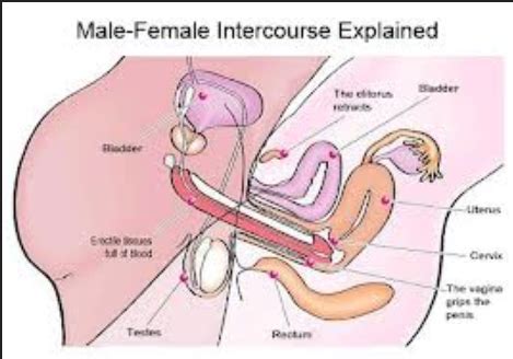 Actively scan device characteristics for identification. How Many Days Does It Take To Become Pregnant - Big ...