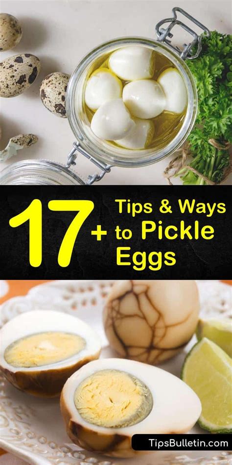 Feb 19, 2020 · sources recommend leaving small and medium eggs in brine for at least 2 weeks to fully pickle, and as much as 4 weeks for large eggs. 17+ Tips and Ways to Pickle Eggs | Pickled eggs, Pickled ...