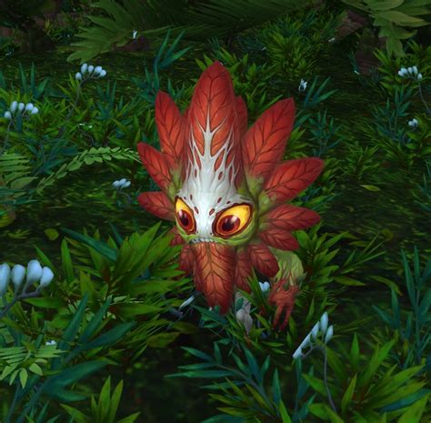 I made this gorgrond flytrap farming guide to help out players who want to farm the herbs instead of buying them from the auction house. Podling Trapper (Gorgrond) - Wowpedia - Your wiki guide to the World of Warcraft