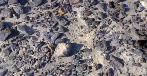 Greenpeace members stand on desert crust as they unfurl letters on the site of nasca lines in peru what were these lines? Drones provide striking evidence of the permanent damage ...