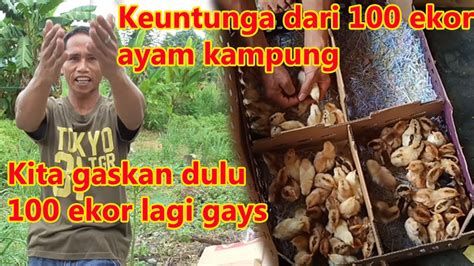 Berikut kami ulaskan cara membuat pakan ayam kampung bahan yang digunakan untuk membuat pakan alternative adalah talas, beras dolog, bekatul. PEMULA... CARA BETERNAK AYAM KAMPUNG - ANALISA KEUNTUNGAN ...