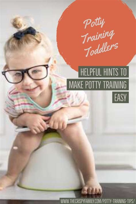 Potty Training Your Toddler in 2020 | Potty training tips ...