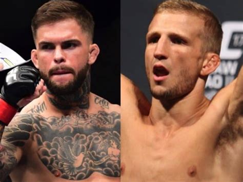 Watch the video and rate this fight! Cody Garbrandt & TJ Dillashaw Go Off In Heated Twitter War