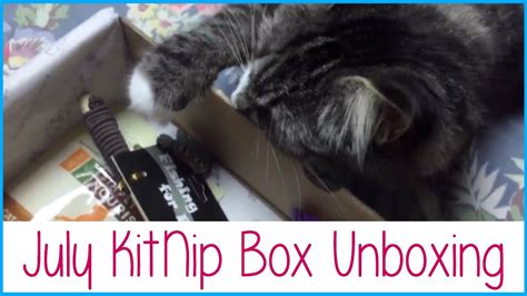 We carry a large selection and the top brands like american journey and more. KITNIPBOX CAT SUBSCRIPTION BOX UNBOXING | Allie Young ...