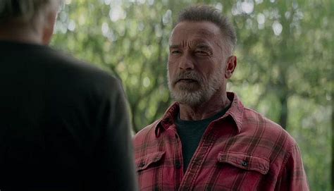 Maybe you would like to learn more about one of these? Arnold As The Brawny Paper Towel Guy | Mens tops, Men ...