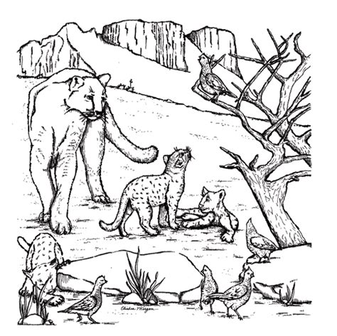 Check spelling or type a new query. TPWD Kids: Color the West Texas Mountain Lions