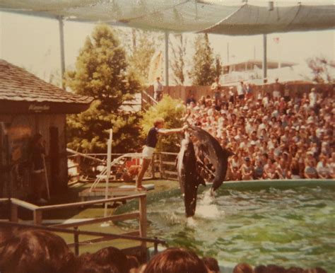 After an exciting day, the privacy and comfort of a cabin rental near worlds of fun provides a home away from home. Worlds of Fun 1978, Skipper & Dolly Dolphin Show. | Worlds ...