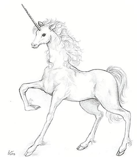 Every unicorn fan knows that these the unicorn in this coloring page gallops across a grassy field. Follow Your Fetish: The Zen of Unicorns — LittleWoo.org