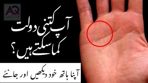 Money triangle and other money lines. How much Wealth in your palm? (Explanation about Money Line Palmistry) | Astrologer Ali Zanjani ...
