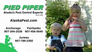 Pied piper pest control can deal with all forms of insects from the common ones mentioned on this page to more exotic types, please contact us for further information or to explain. 3 Best Pest Control Companies in Anchorage, AK - Expert ...