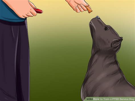 Ptsd service dogs can learn to watch their handler's backs, and serve as a barrier. How to Train a PTSD Service Dog: 13 Steps (with Pictures)