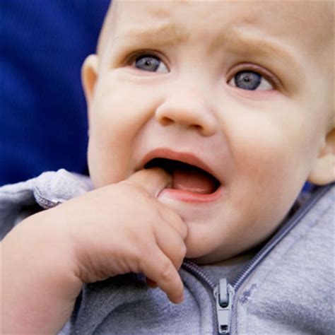 Find out when babies start teething, learn teething signs and symptoms (drooling, rash, irritability, sleep problems), and read about home remedies, pain medications, and what to do for your child. Teething fever in infants | News | Dentagama