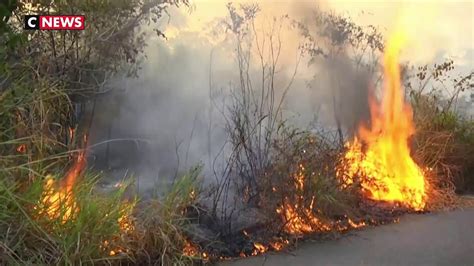 When notary lebel sits down with jeanne and simon marwan to read them their mother nawal's will, the twins are. Incendies en Amazonie : Jair Bolsonaro estime qu'Emmanuel ...