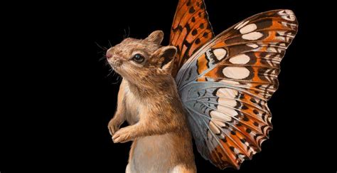 Perhaps art can be a tool in that process? Encounter - Lisa Ericson | Animal illustration art, Friend ...