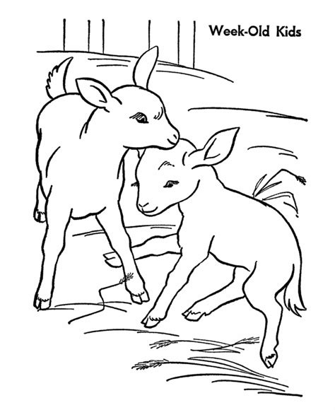 Get free goat coloring pages here. 19 Animal Goats Printable Coloring Sheet