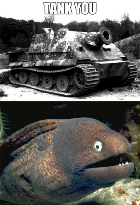 500 x 937 png 195 кб. sturmtiger Memes & GIFs - Imgflip