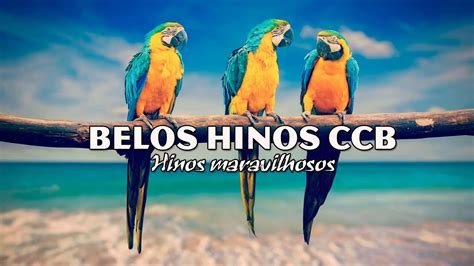 Postado por tiagosblog.blogspot.com às 12:55. Belos Hinos CCB Hinário 5 - Melhor Trilha Sonora Instrumental - YouTube