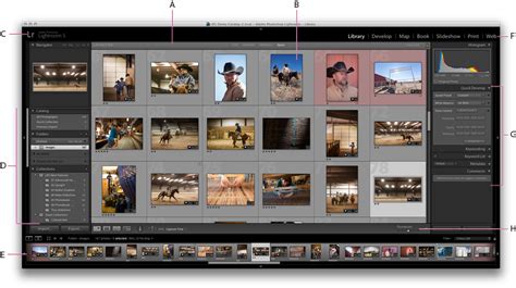 In the first installment of my lightroom workflow tutorial series i emphasized the. Viewing and organizing photos in Lightroom Classic CC