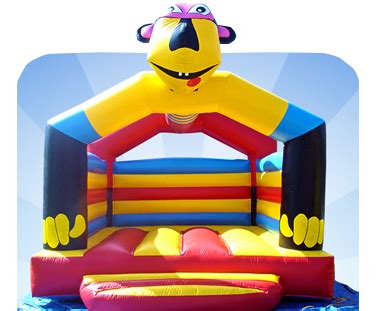 All 4 Fun Jumping Castles » Jumping Castles for Hire - Jumping Castles for hire in Sydney, low ...
