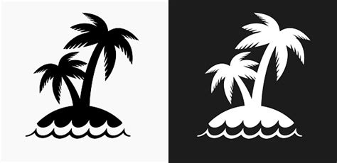 1160 x 1137 jpeg 112 кб. Palm Tree Island Icon On Black And White Vector ...