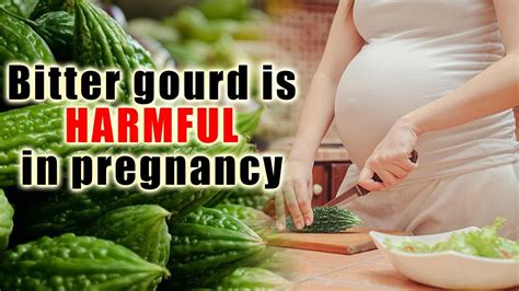 Once cocoyam is melted, taste and adjust the taste if necessary. Bitter Gourd In Pregnancy - This Is Why You Should Include ...