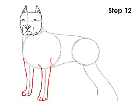 It's super easy art tutorial, only follow me step by step, if you need more time, you can make pause. How to Draw a Dog (Pit Bull)